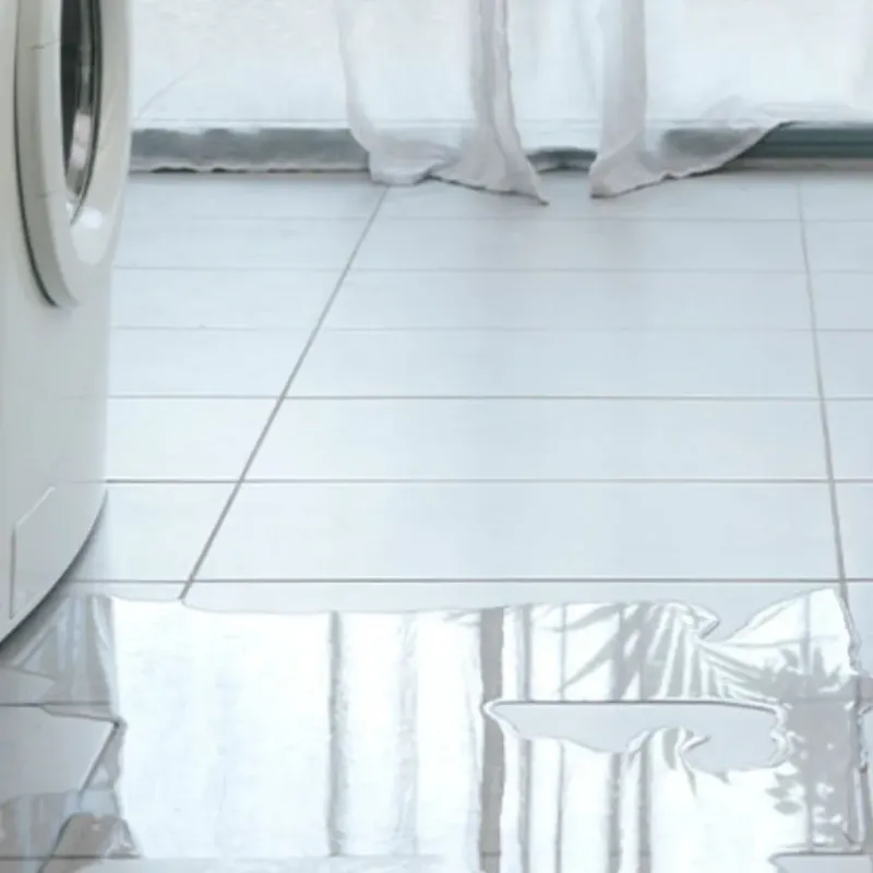 Appliance Leak Cleanup in Rosemead, CA